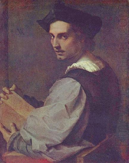 Andrea del Sarto Portrat eines jungen Mannes china oil painting image